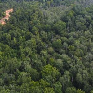 Photo #7 of 7400 & 7400 ZZ Haw Ridge, Summerfield, NC 8.5 acres