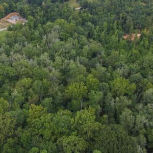 Photo #3 of 7400 & 7400 ZZ Haw Ridge, Summerfield, NC 8.5 acres