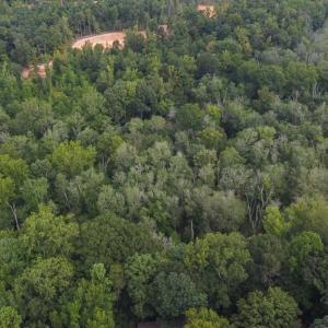 Photo #5 of 7400 & 7400 ZZ Haw Ridge, Summerfield, NC 8.5 acres