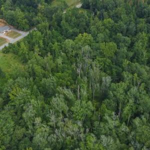 Photo #9 of 7400 & 7400 ZZ Haw Ridge, Summerfield, NC 8.5 acres