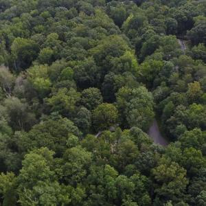 Photo #11 of 7400 & 7400 ZZ Haw Ridge, Summerfield, NC 8.5 acres