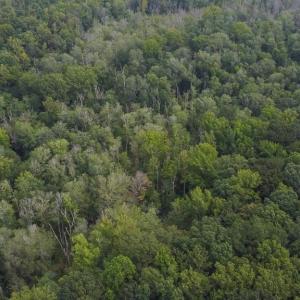Photo #4 of 7400 & 7400 ZZ Haw Ridge, Summerfield, NC 8.5 acres