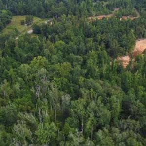 Photo #8 of 7400 & 7400 ZZ Haw Ridge, Summerfield, NC 8.5 acres