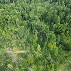 Photo #24 of NC Highway 49, Denton, NC 60.0 acres