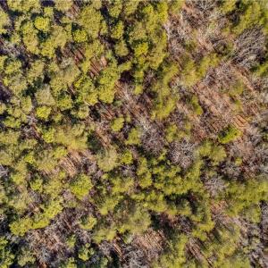 Photo #9 of 642 Whisper Lake, New London, NC 1.1 acres