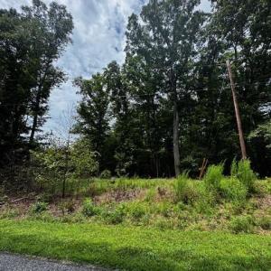 Photo #6 of John Harger, Walnut Cove, NC 5.2 acres