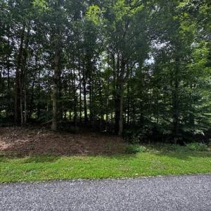 Photo #5 of John Harger, Walnut Cove, NC 5.2 acres