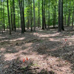 Photo #2 of 4.5 Acres off Kelly Brewer, Leasburg, NC 4.5 acres