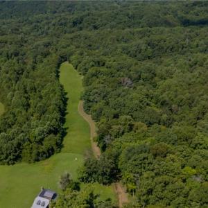 Photo #2 of 1392 Mission, Danbury, NC 18.3 acres