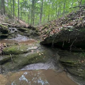 Photo #16 of 1392 Mission, Danbury, NC 18.3 acres