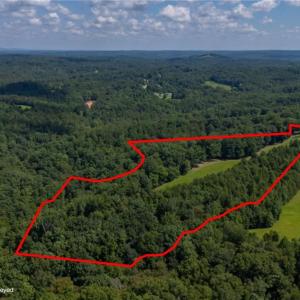 Photo #3 of 1392 Mission, Danbury, NC 18.3 acres