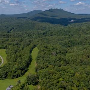 Photo #1 of 1392 Mission, Danbury, NC 18.3 acres