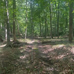 Photo #18 of 1392 Mission, Danbury, NC 18.3 acres