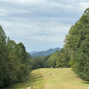 Photo #1 of 1392 Mission, Danbury, NC 18.3 acres