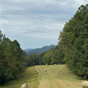 Photo #15 of 1392 Mission, Danbury, NC 18.3 acres