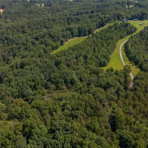 Photo #6 of 1392 Mission, Danbury, NC 18.3 acres