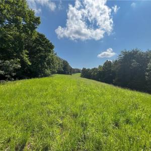 Photo #13 of 1392 Mission, Danbury, NC 18.3 acres