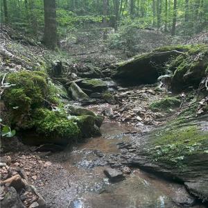 Photo #16 of 1392 Mission, Danbury, NC 18.3 acres