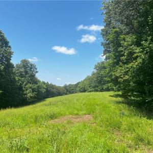 Photo #12 of 1392 Mission, Danbury, NC 18.3 acres