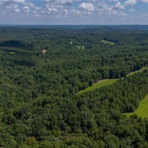 Photo #7 of 1392 Mission, Danbury, NC 18.3 acres