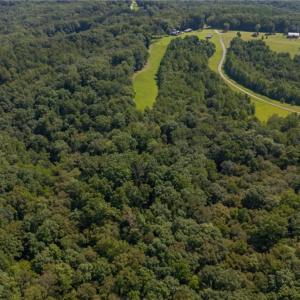 Photo #5 of 1392 Mission, Danbury, NC 18.3 acres