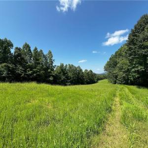 Photo #10 of 1392 Mission, Danbury, NC 18.3 acres