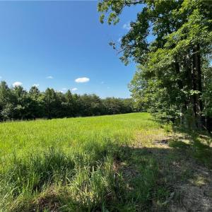 Photo #11 of 1392 Mission, Danbury, NC 18.3 acres