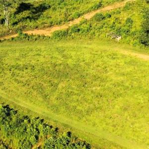 Photo #6 of Lot 7 Thayer, Trinity, NC 18.8 acres