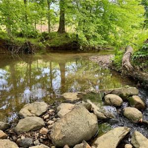 Photo #12 of Lot 7 Thayer, Trinity, NC 18.8 acres