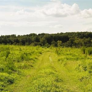 Photo #7 of Lot 7 Thayer, Trinity, NC 18.8 acres