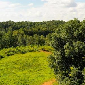 Photo #20 of Lot 7 Thayer, Trinity, NC 18.8 acres