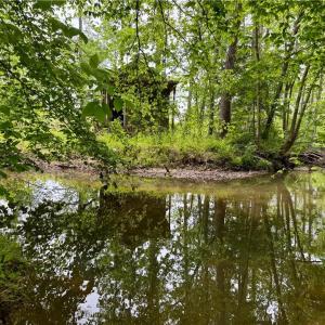 Photo #9 of Lot 7 Thayer, Trinity, NC 18.8 acres