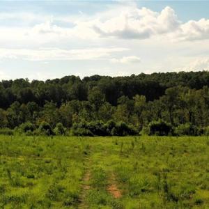 Photo #11 of Lot 7 Thayer, Trinity, NC 18.8 acres