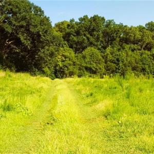 Photo #25 of Lot 7 Thayer, Trinity, NC 18.8 acres