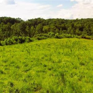 Photo #27 of Lot 7 Thayer, Trinity, NC 18.8 acres