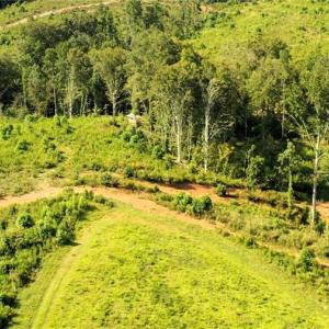 Photo #2 of Lot 7 Thayer, Trinity, NC 18.8 acres