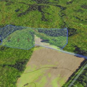 Photo #6 of Lot 7 Thayer, Trinity, NC 18.8 acres