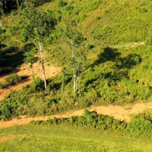 Photo #17 of Lot 7 Thayer, Trinity, NC 18.8 acres