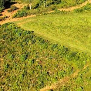 Photo #22 of Lot 7 Thayer, Trinity, NC 18.8 acres