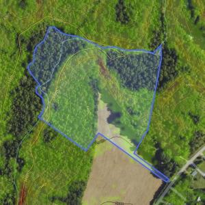 Photo #9 of Lot 7 Thayer, Trinity, NC 18.8 acres