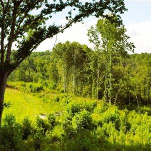 Photo #24 of Lot 7 Thayer, Trinity, NC 18.8 acres