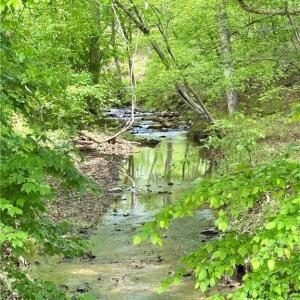 Photo #10 of Lot 7 Thayer, Trinity, NC 18.8 acres