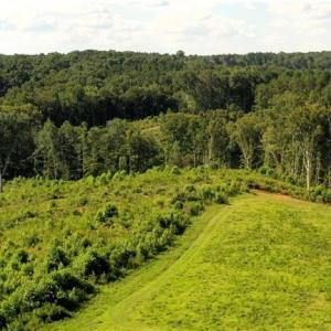 Photo #11 of Lot 7 Thayer, Trinity, NC 18.8 acres
