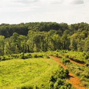 Photo #25 of Lot 7 Thayer, Trinity, NC 18.8 acres