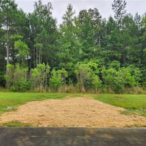 Photo #3 of 1278 Cedar Grove, Pittsboro, NC 2.1 acres