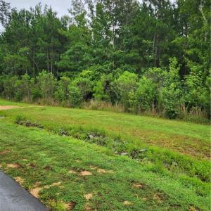 Photo #5 of 1278 Cedar Grove, Pittsboro, NC 2.1 acres