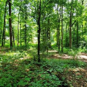 Photo #2 of 3929 US Highway 64, Mocksville, NC 0.9 acres