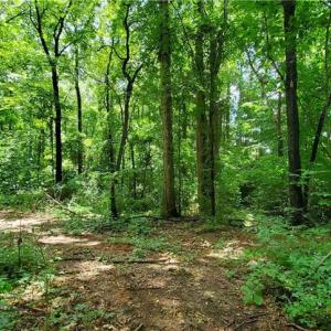 Photo #3 of 3929 US Highway 64, Mocksville, NC 0.9 acres