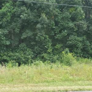 Photo #7 of 3939 US Highway 64, Mocksville, NC 0.8 acres
