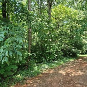 Photo #3 of 3939 US Highway 64, Mocksville, NC 0.8 acres
